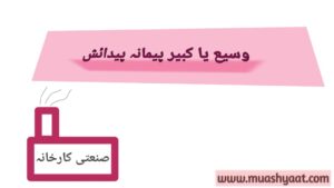 وسیع یا کبیر پیمانہ پیدائش