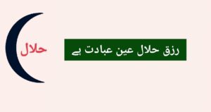 دولت کمانے کے جائز ذرائع پرزور