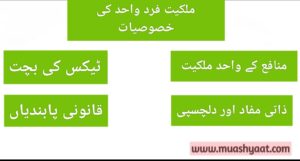 ملکیت فرد واحد کی خصوصیات