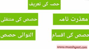 حصہ کی تعریف