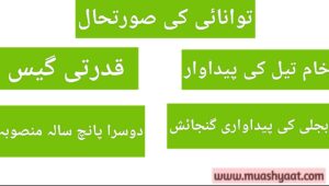 توانائی کی صورتحال