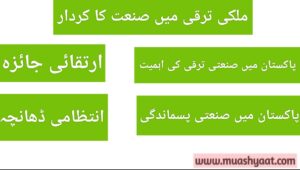 ملکی ترقی میں صنعت کا کردار