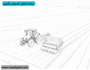 زراعت کیلئے خصوصی قرضے 