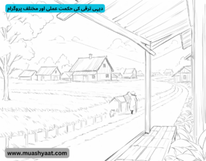 دیہی ترقی کی حکمت عملی اور مختلف پروگرام