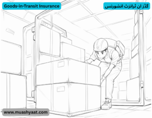 گڈز ان ٹرانزٹ انشورنس