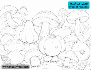 طفیلی کی اقسام
