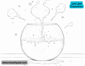 عمل تبخیر