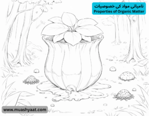 نامیاتی مواد کی خصوصیات