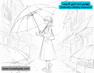  چھتری ذمہ داری کا بیمہ
