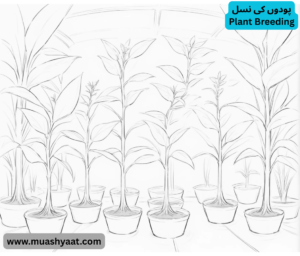 پودوں کی نسل