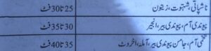 پھلدار پودوں کیلئے موزوں فاصلہ