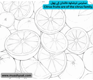 سٹرس ترشاوہ خاندان کے پھل              