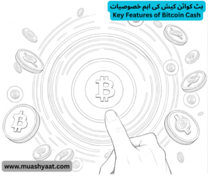 بٹ کوائن کیش کی اہم خصوصیات