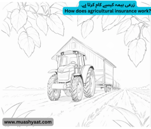 زرعی بیمہ کیسے کام کرتا ہے۔
