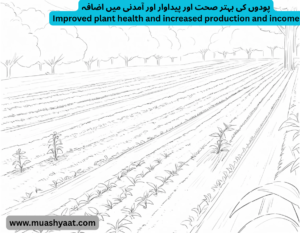 پودوں کی بہتر صحت اور پیداوار اور آمدنی میں اضافہ