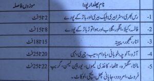 پھلدار پودوں کیلئے موزوں فاصلہ
