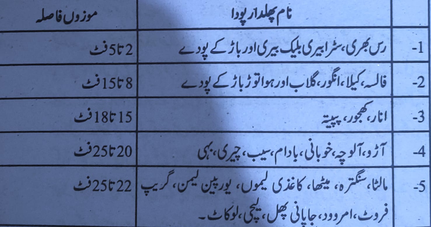 پھلدار پودوں کیلئے موزوں فاصلہ