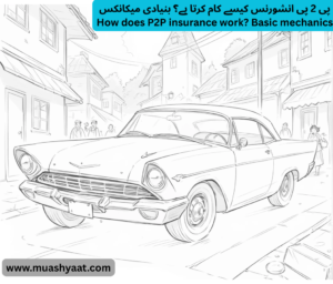 پی 2 پی انشورنس کیسے کام کرتا ہے؟ بنیادی میکانکس