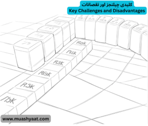 کلیدی چیلنجز اور نقصانات