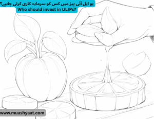 یو ایل آئی پیز میں کس کو سرمایہ کاری کرنی چاہیے؟
