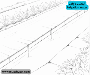 آبپاشی کا پانی