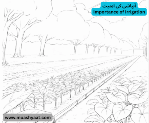 آبپاشی کی اہمیت