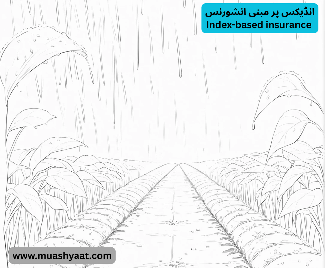 انڈیکس پر مبنی انشورنس