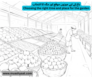باغ کے لیے موزوں موقع اور جگہ کا انتخاب