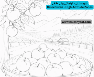 بلوچستان - اونچائی والے علاقے