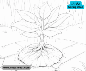 بہار داب