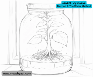 طریقہ 2: پانی کا طریقہ