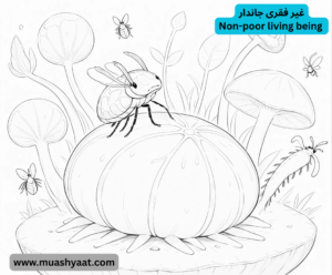 غیر فقری جاندار