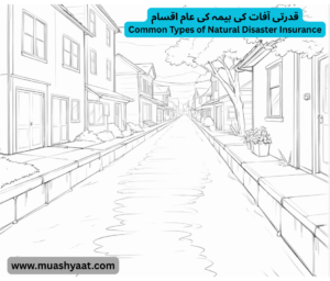 قدرتی آفات کی بیمہ کی عام اقسام