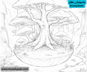 ماحولیاتی نظام