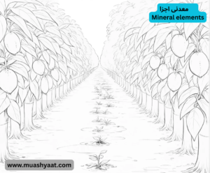 معدنی اجزا