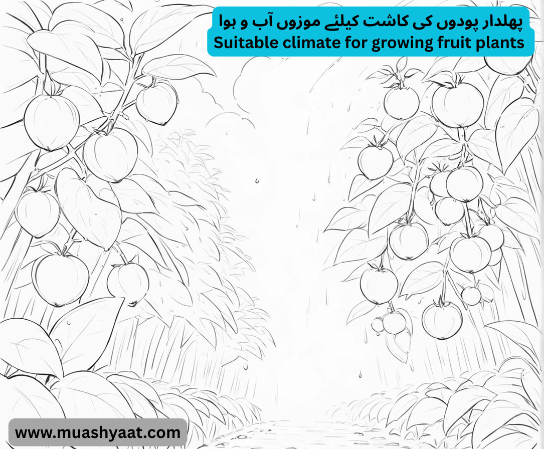 پھلدار پودوں کی کاشت کیلئے موزوں آب و ہوا