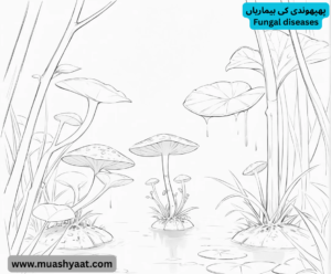 پھپھوندی کی بیماریاں