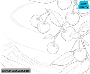 چیری