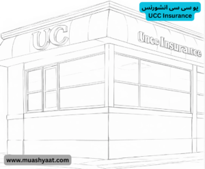 یو سی سی انشورنس