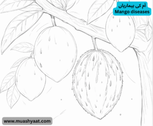 آم کی بیماریاں