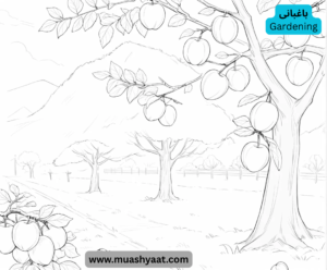 باغبانی