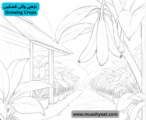 بڑھنے والی فصلیں