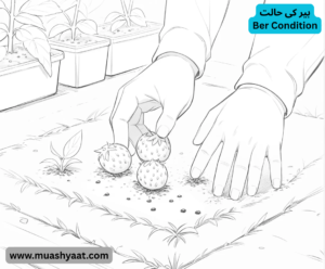 بیر کی حالت