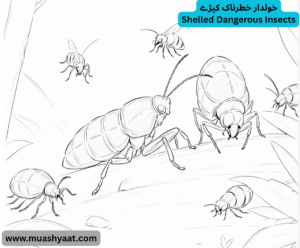 خولدار خطرناک کیڑے
