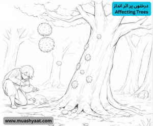 درختوں پر اثر انداز