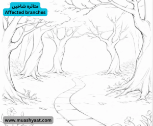 متاثرہ شاخیں