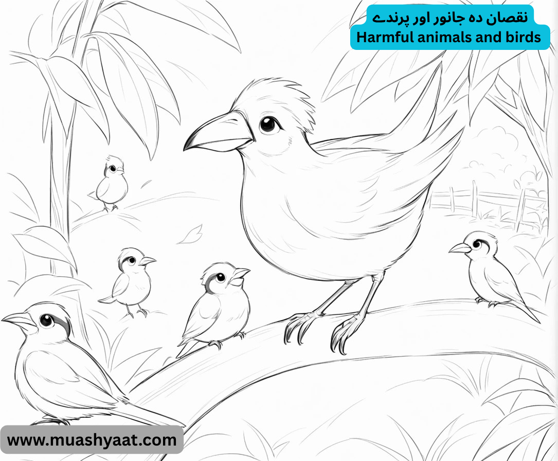 نقصان دہ جانور اور پرندے