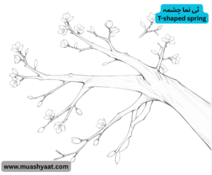 ٹی نما چشمہ