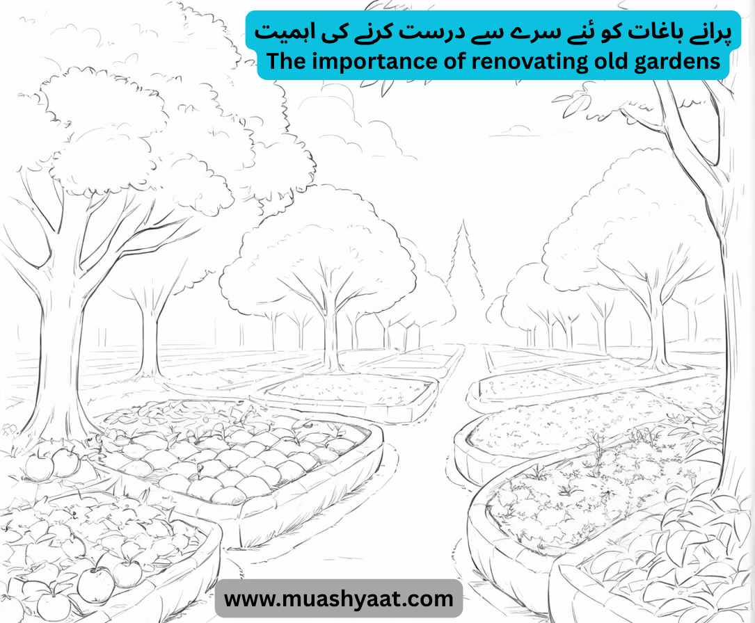 پرانے باغات کو ئنے سرے سے درست کرنے کی اہمیت