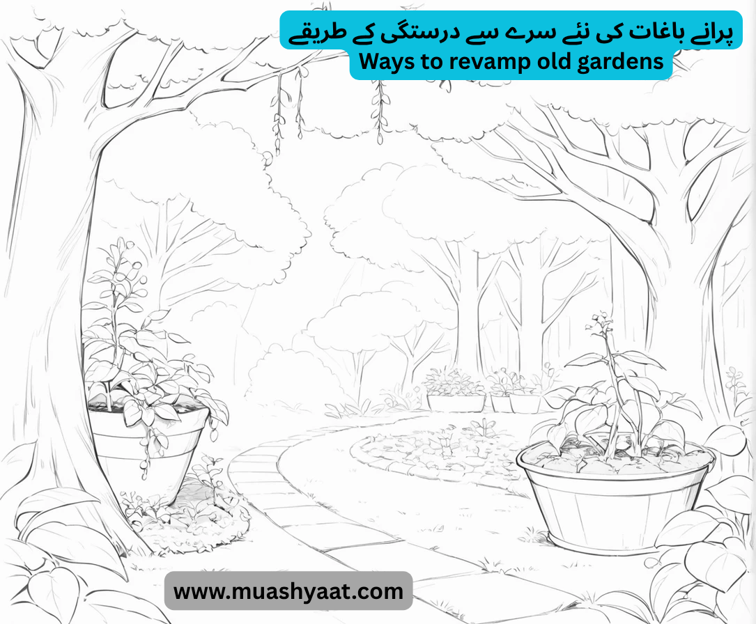 پرانے باغات کی نئے سرے سے درستگی کے طریقے
